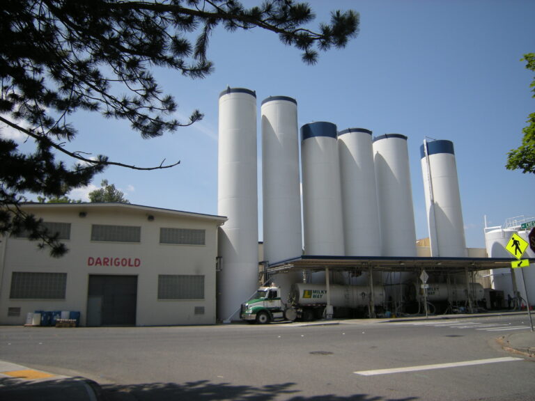 Darigold's Issaquah plant today