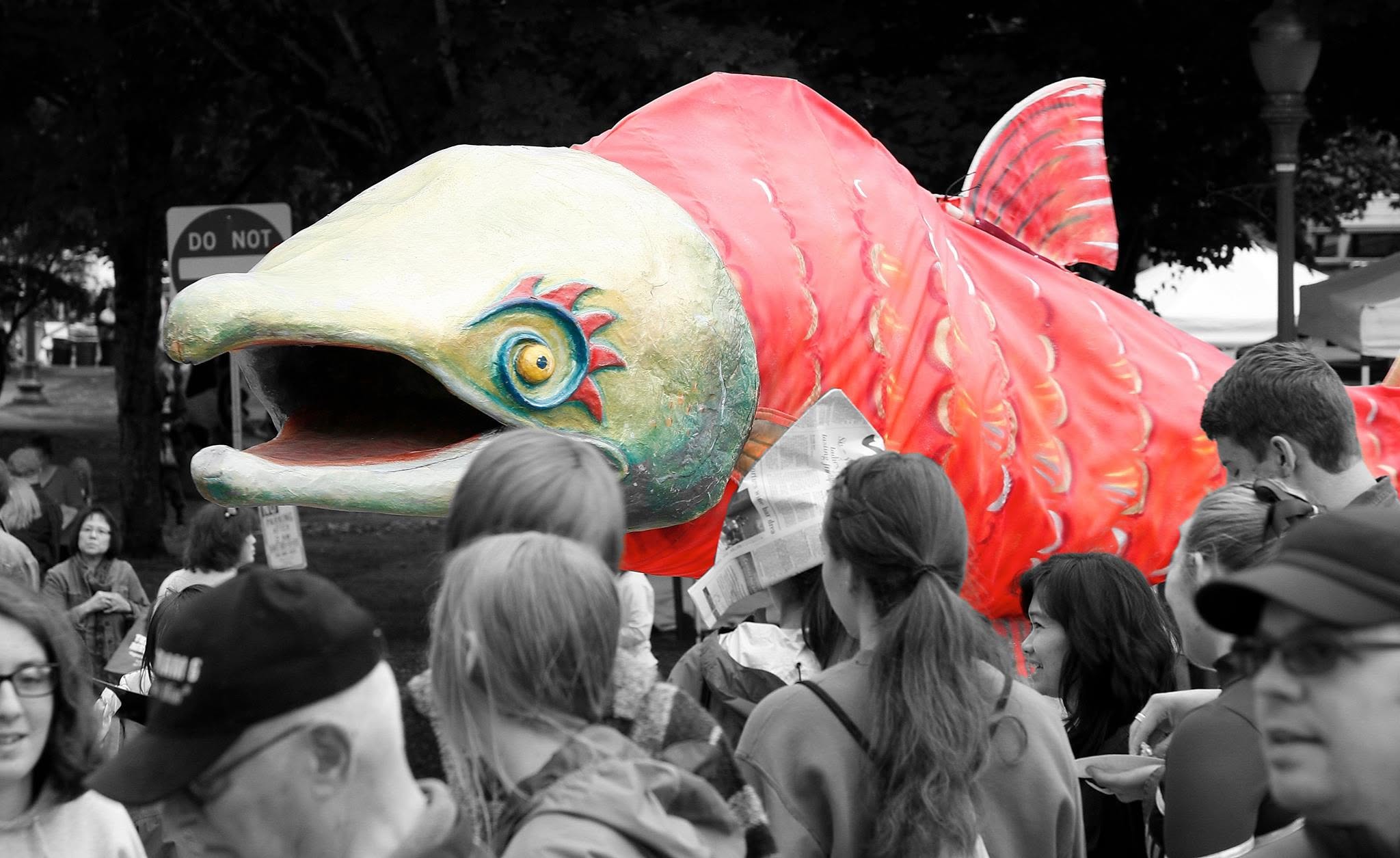 The Salmon Days parade salmon
