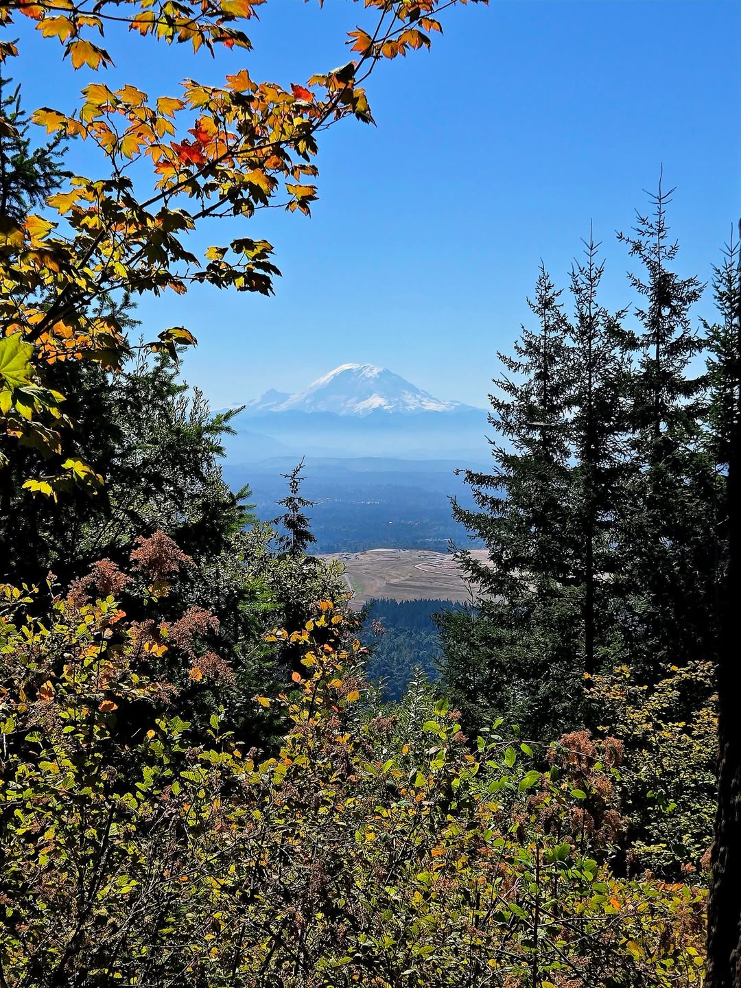 A view from Squak Mountain, one of the Issaquah Alps
