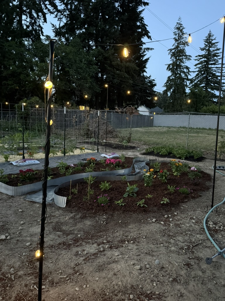 Tanya's garden illuminated by warm string lights at dusk
