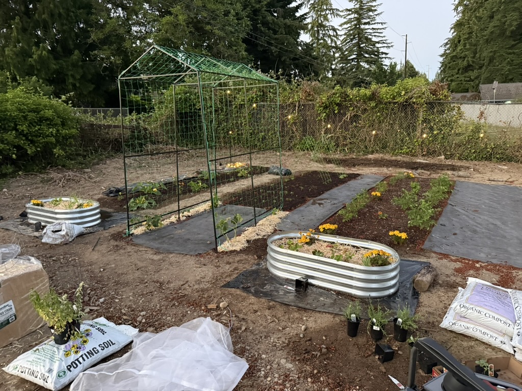 Garden beds taking shape during Tanya's backyard transformation