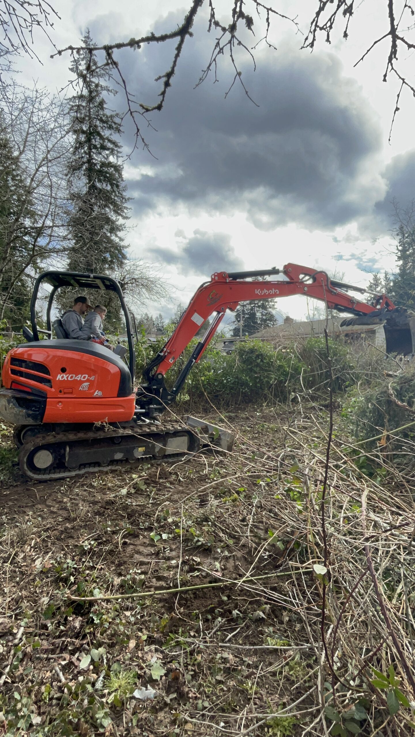 Excavator clearing blackberry bushes, ivy, and overgrowth from Tanya's Renton backyard