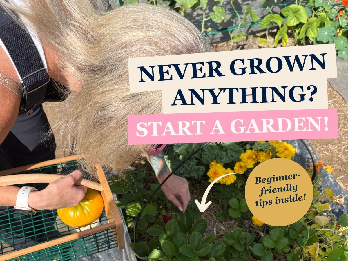 Cover graphic: Never grown anything? Start a garden! Beginner-friendly tips inside, over a person tending garden plants