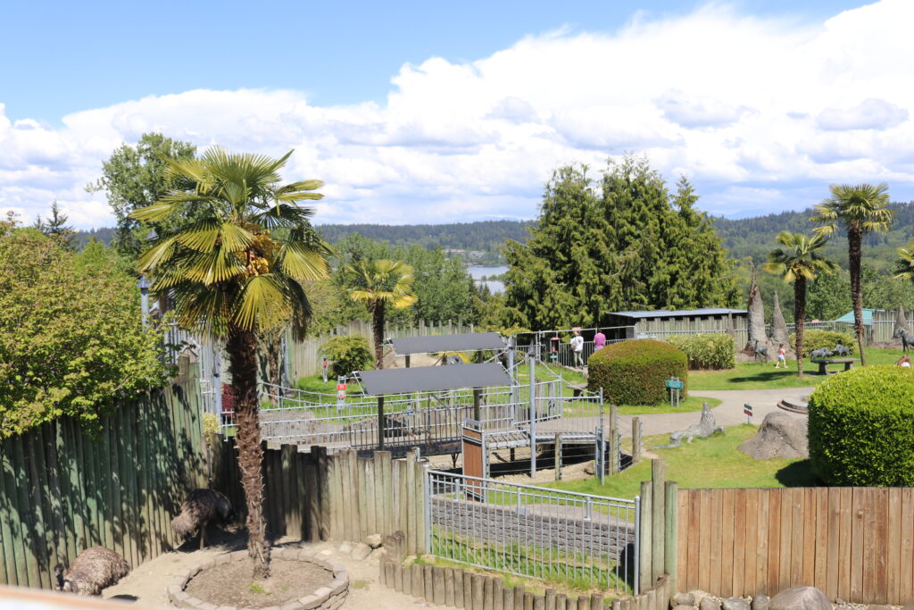 Palm trees and animal enclosures at Cougar Mountain Zoo